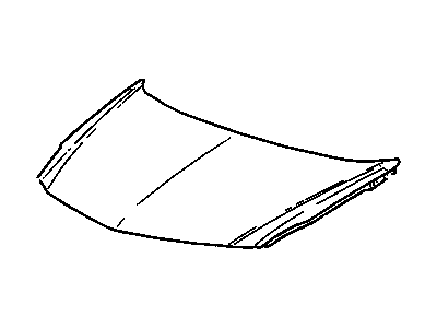 Hood, Panel