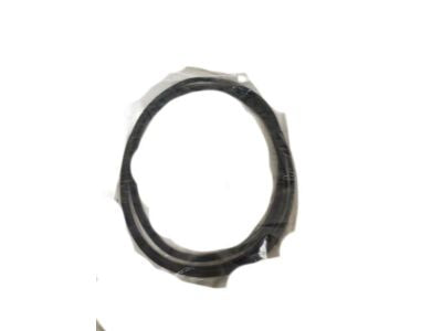 Molding Backlite