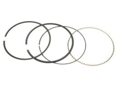 Ring Kit