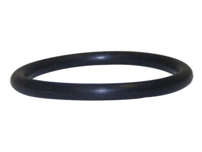 O-Ring