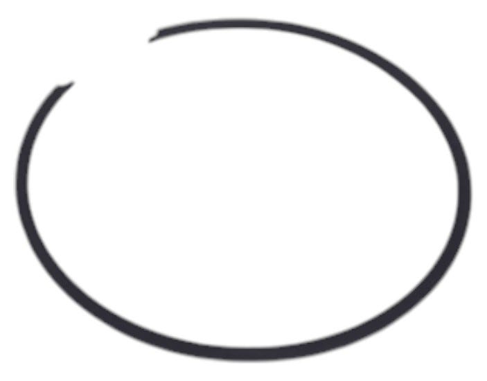 New OEM Genuine AGCO Ring, Part # 1754409M1