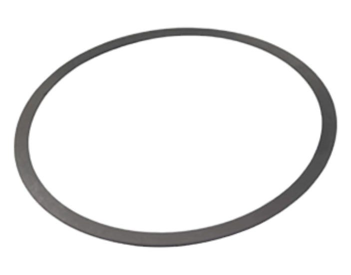 New OEM Genuine AGCO Shim, Part # 3795296M1