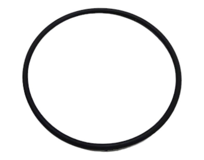 New OEM Genuine AGCO O-Ring, Part # 555862D1