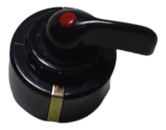 New OEM Genuine AGCO Switch, Part # 72504563