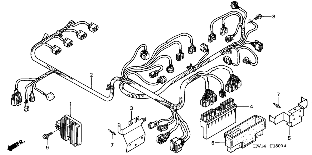 Holder E, Electric