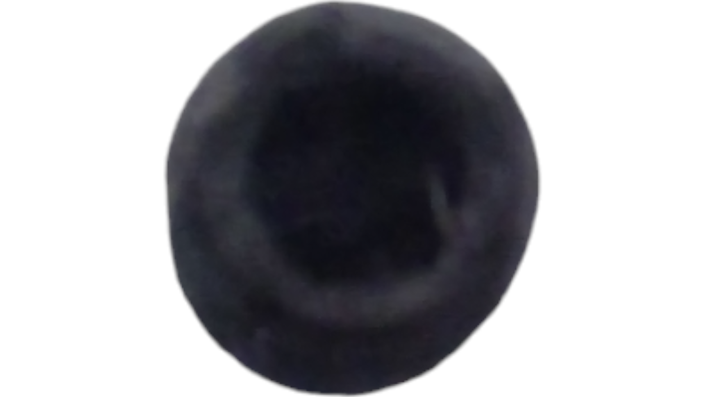 New OEM Genuine CNHi, Plug - Part # SBA340293857