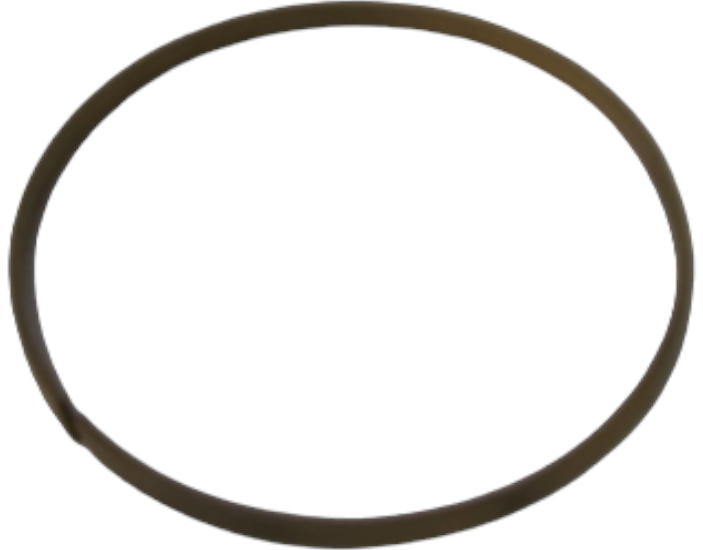 New OEM Genuine CNHi, Ring;Slide - Part # 160019A1