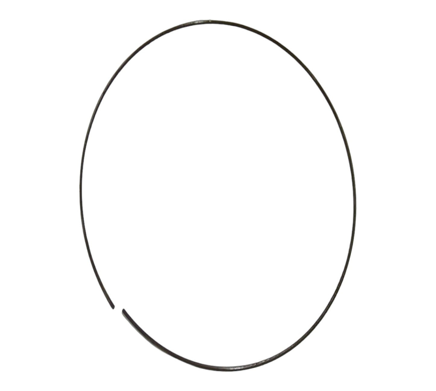 New OEM Genuine CNHi, Ring Wear - Part # 2418T5743