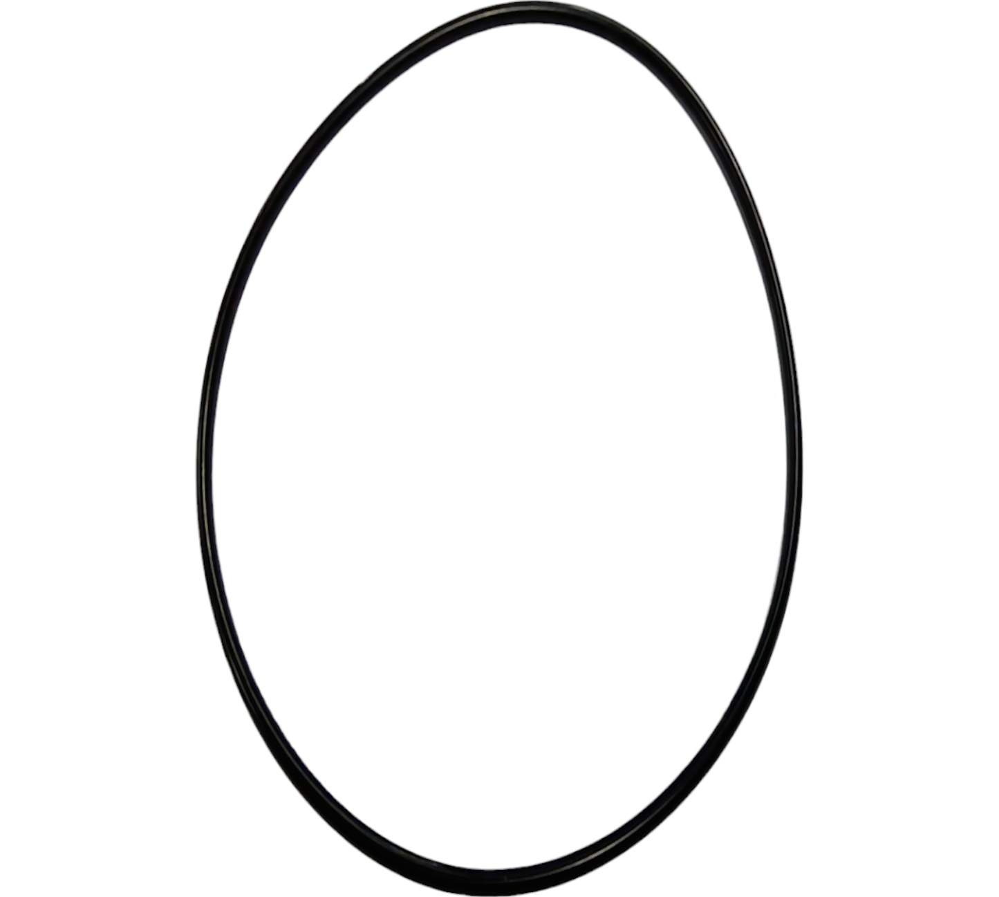 New OEM Genuine CNHi, O Ring - Part # PU15V01013P1