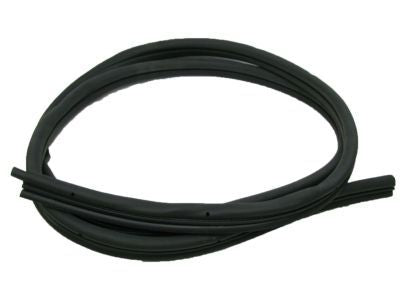 Weatherstrip Rear Door Opening