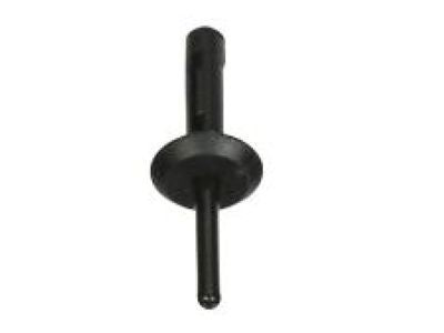 Rivet