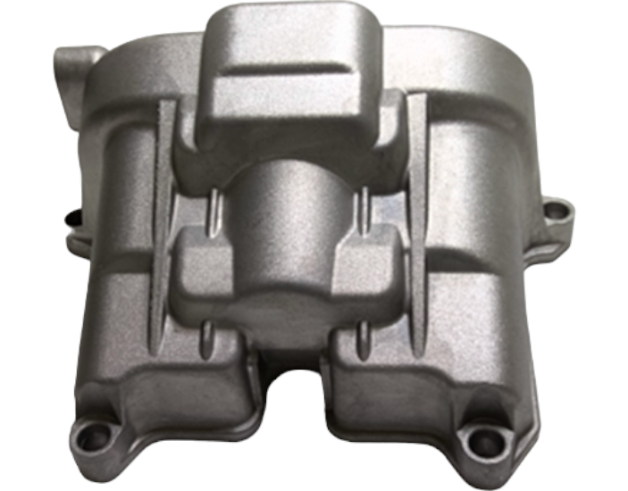 New OEM Genuine Bombardier Recreational Products, Valve Cover Front - Part # 420611320