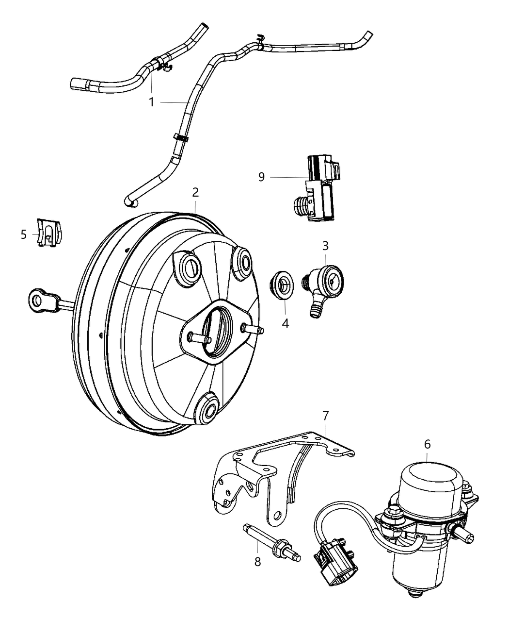 Hose Vacuum