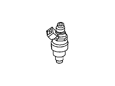 Injector, Fuel