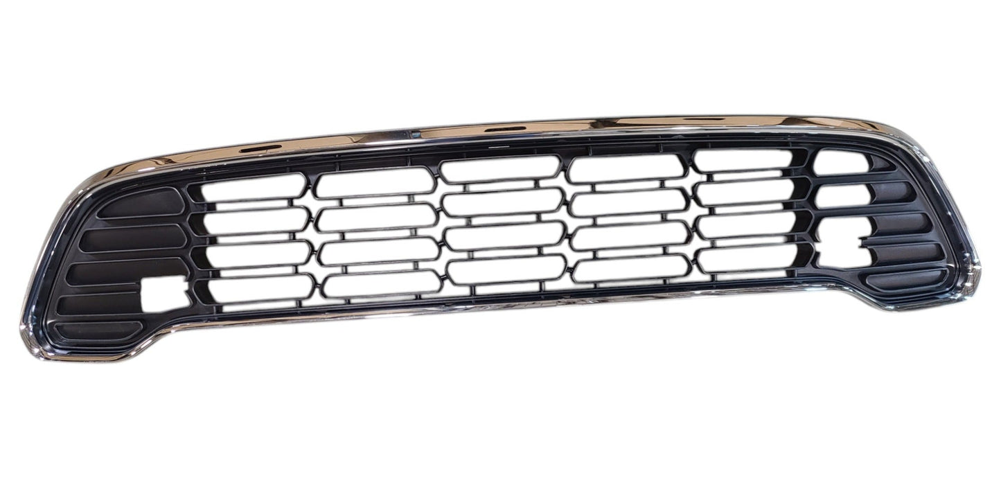 BMW Factory Original Bracket and grill - Part # 63132186306