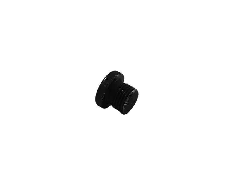 BMW Motorrad Factory Original, Screw Plug - Part # 31422312163