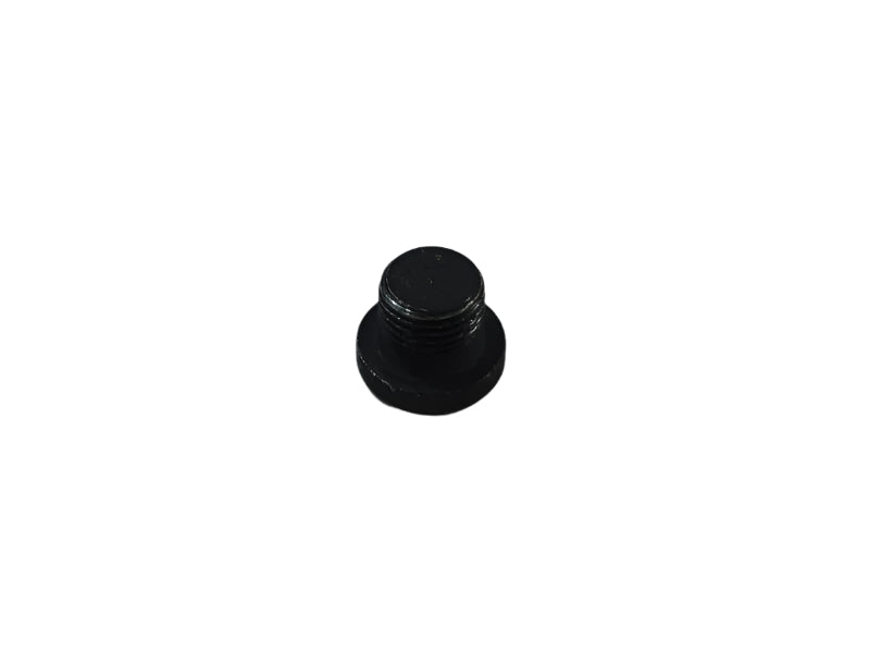 BMW Motorrad Factory Original, Screw Plug - Part # 31422312163