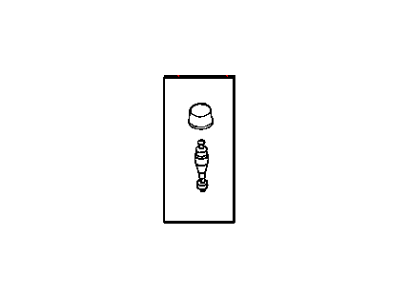 Valve Package, (Shrader), Valve Core And Cap