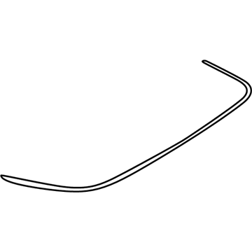 Molding, Bumper/Fascia