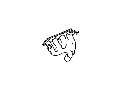 Manifold