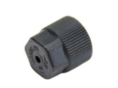 Cap, Check Valve