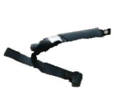 Belt Kit