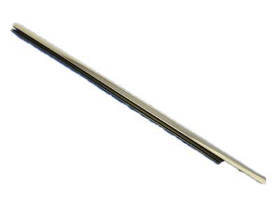 Weatherstrip Rear Door Belt Outer