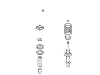 Strut - Loaded Assembly