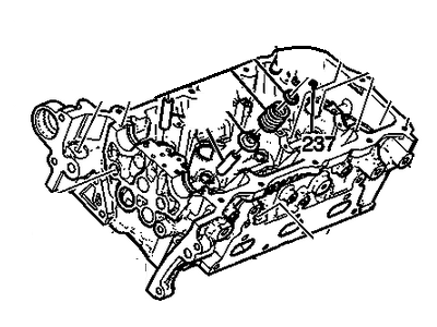 Head