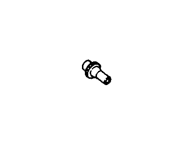 Nut, Auto. Adjuster Pivot Screw, Right