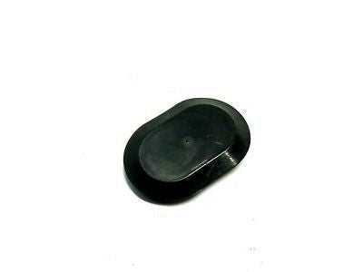 Plug Door Latch