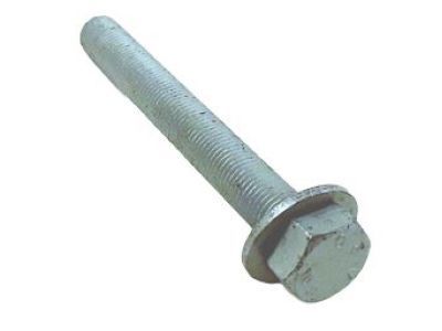 Bolt