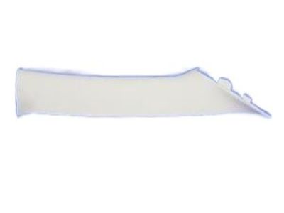 Molding Windshield