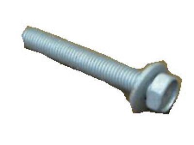 Screw