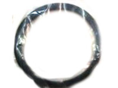 Seal, Fuel Pump Mounting