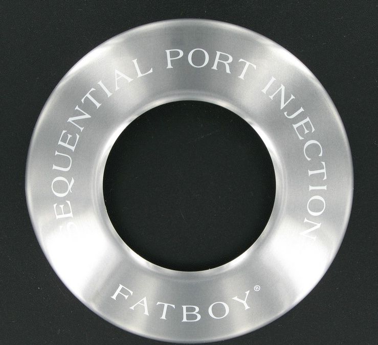 New OEM Genuine Harley-Davidson Air Cleaner Insert Fatboy, 29666-01