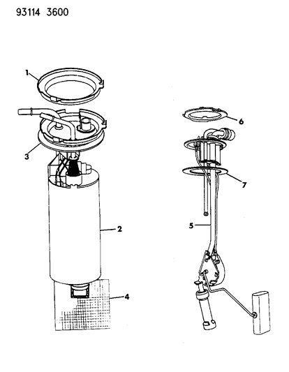 Seal, Fuel Pump Mounting