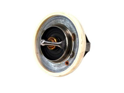 Thermostat 195 Degrees