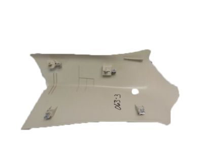 Panel Assy - Body Rear