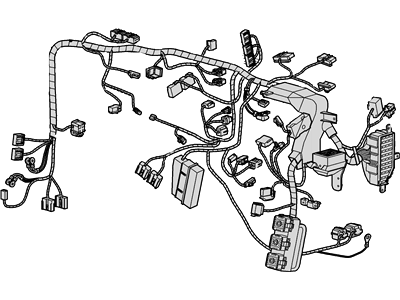 Wiring Assy - Main