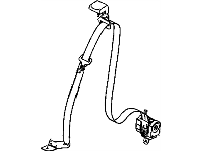 Belt Kit