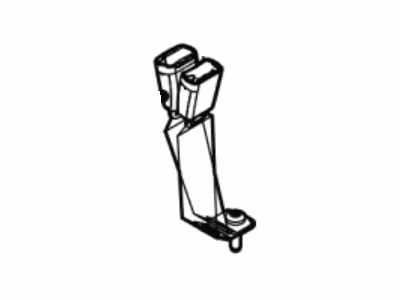 Belt And Buckle Assy