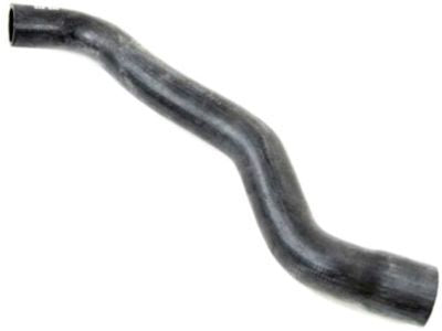 Hose Radiator Inlet