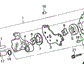 Rotor, Oil Pump (Outer)