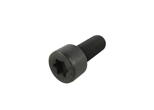 BMW Motorrad Factory Original, Isa Screw - Part # 07129903613