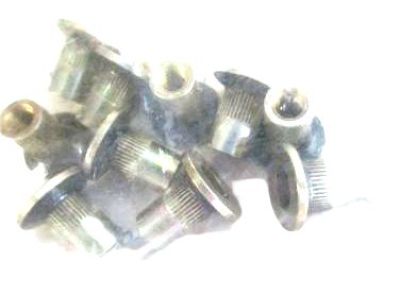 Nut, Luggage Carrier