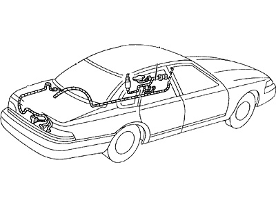 Wiring Assy - Rear Lamps