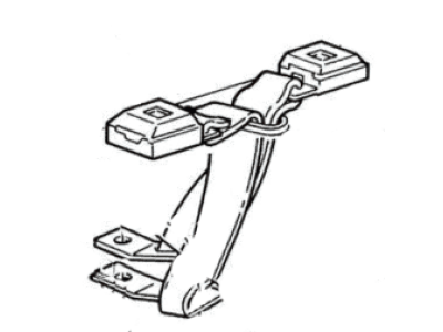 Belt And Buckle Assy