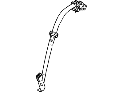 Belt And Buckle Assy