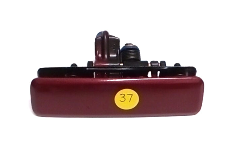 New OEM 1991-1996 Olds Silhouette Driver Outside Left Red Door Handle, Part # 10157567